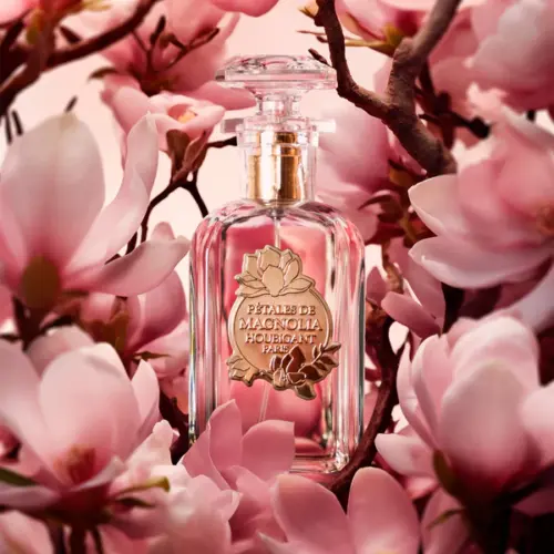 Pétales de Magnolia – Bild 2